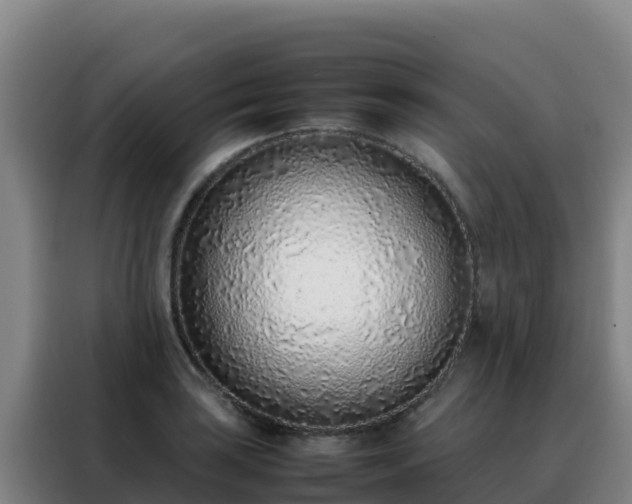 X0000088151035200705211152