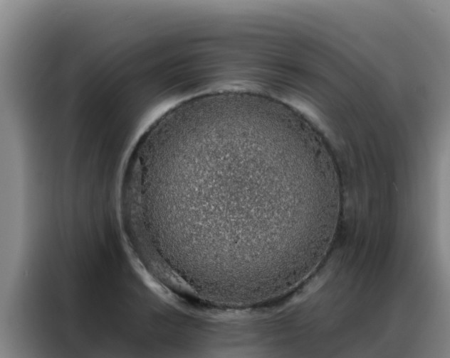 X0000088151038200705211152