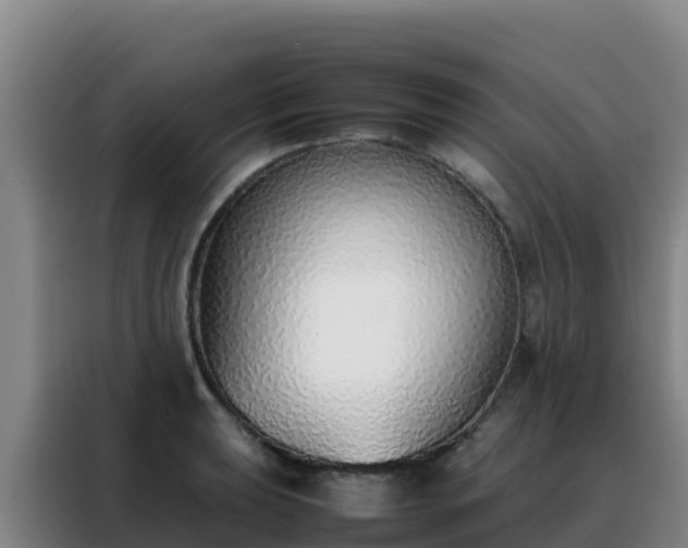 X0000088151039200705211152