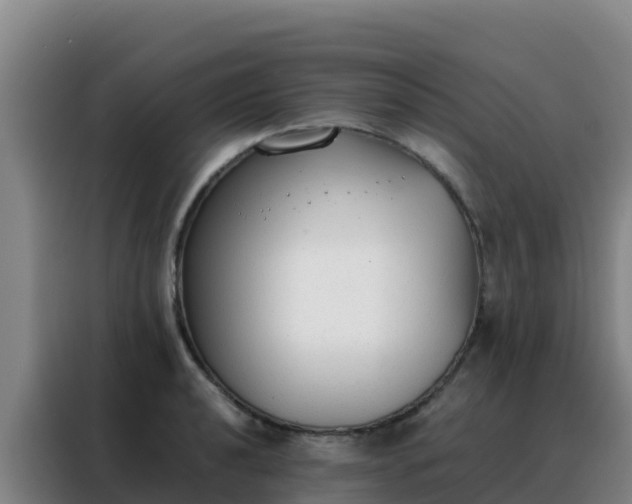 X0000088151040200705211152