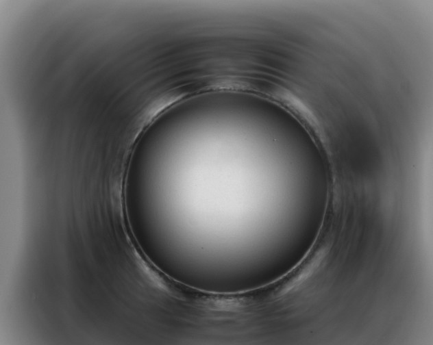 X0000088151041200705211152