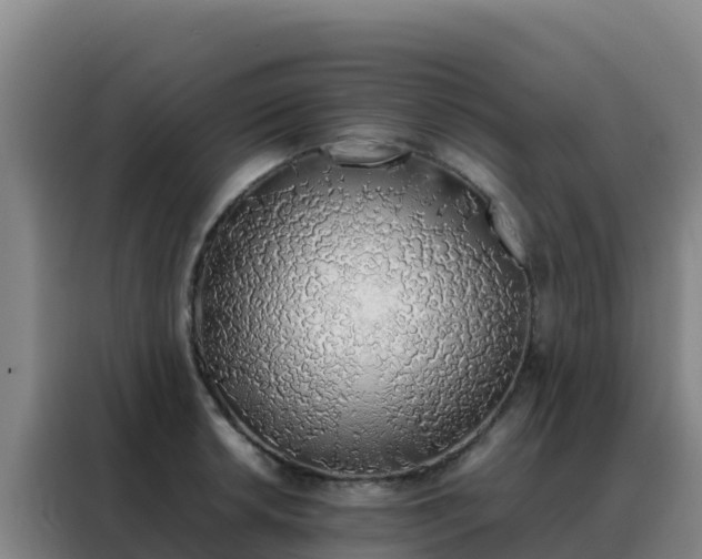 X0000088151042200705211152