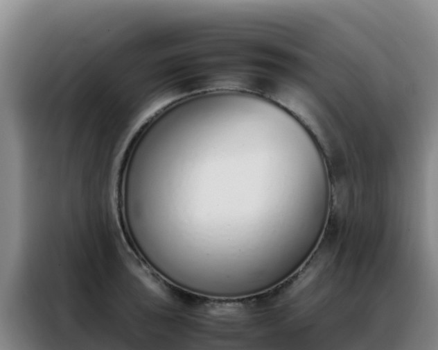 X0000088151043200705211152