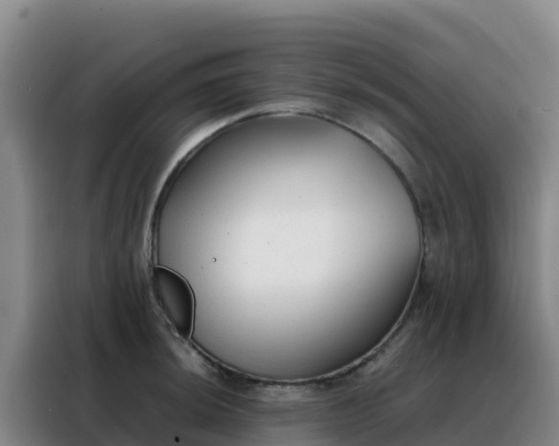 X0000088151044200705211152