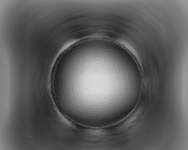 X0000088151045200705211152