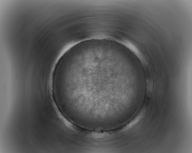 X0000088151046200705211152