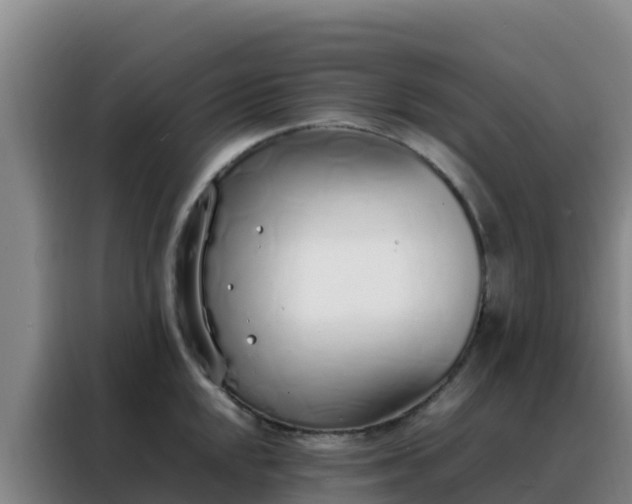 X0000088151048200705211152