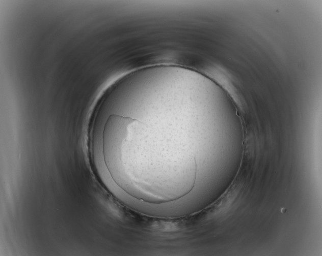 X0000088151051200705211152