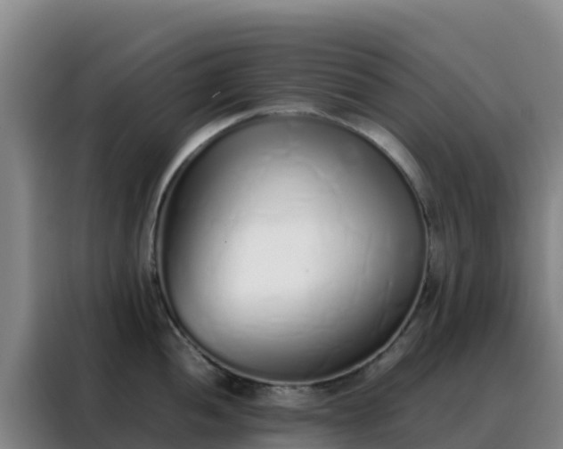 X0000088151052200705211152