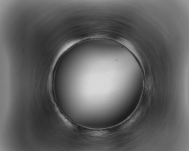 X0000088151053200705211152