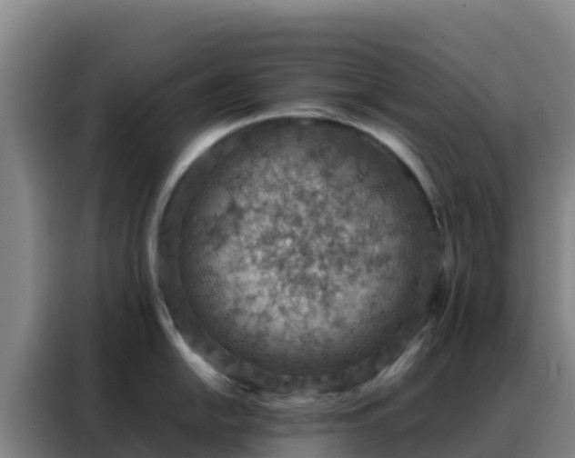 X0000088151054200705211152