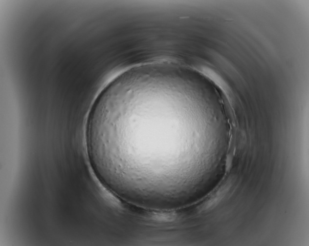 X0000088151055200705211152