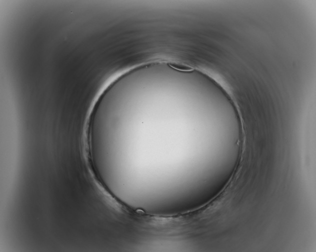 X0000088151056200705211152