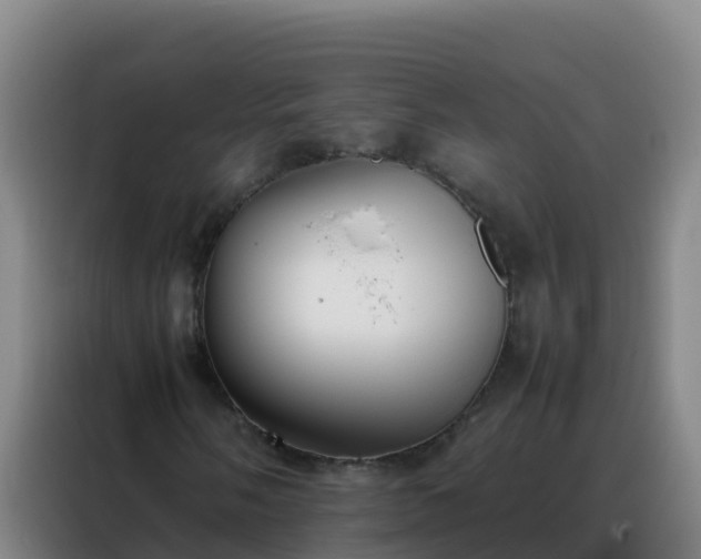 X0000088151058200705211151