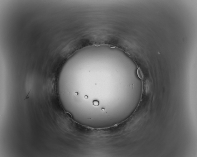 X0000088151059200705211151