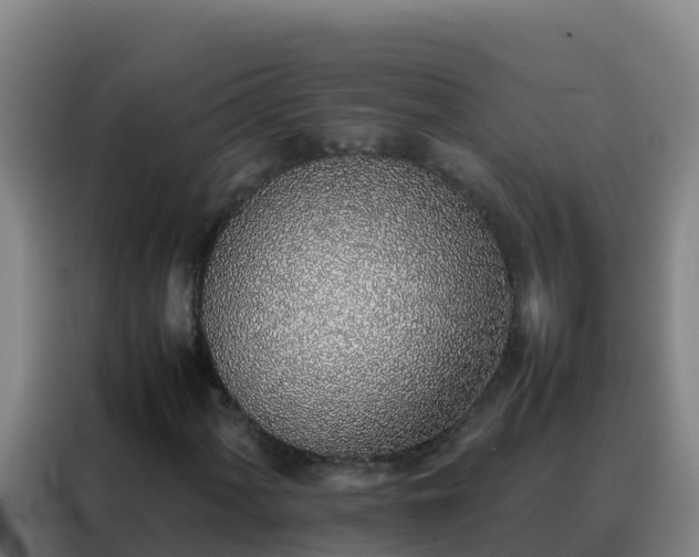 X0000088151060200705211151