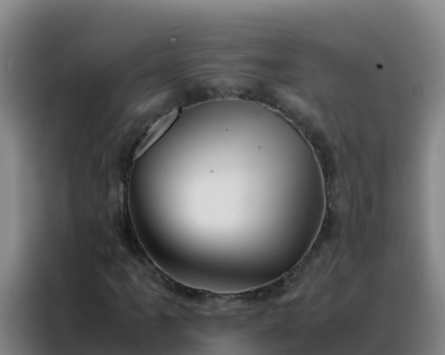 X0000088151061200705211151