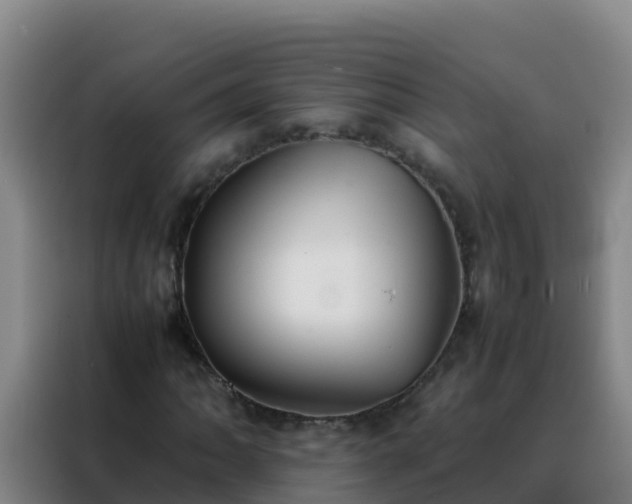 X0000088151062200705211151