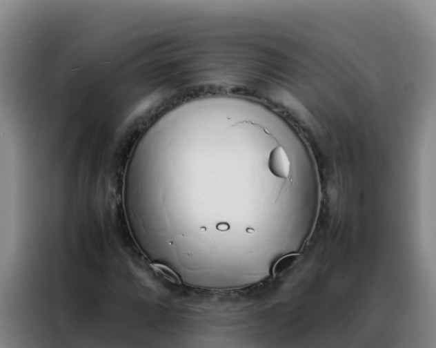 X0000088151064200705211151