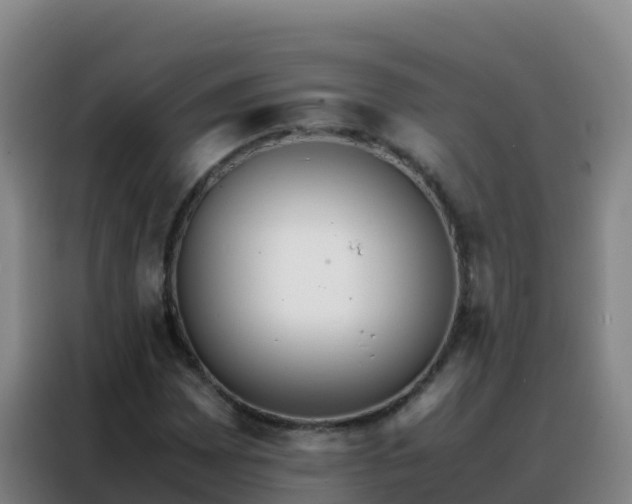 X0000088151065200705211151