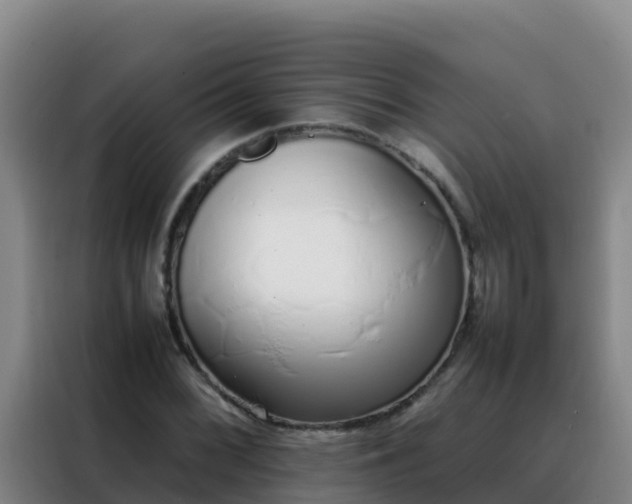 X0000088151068200705211151