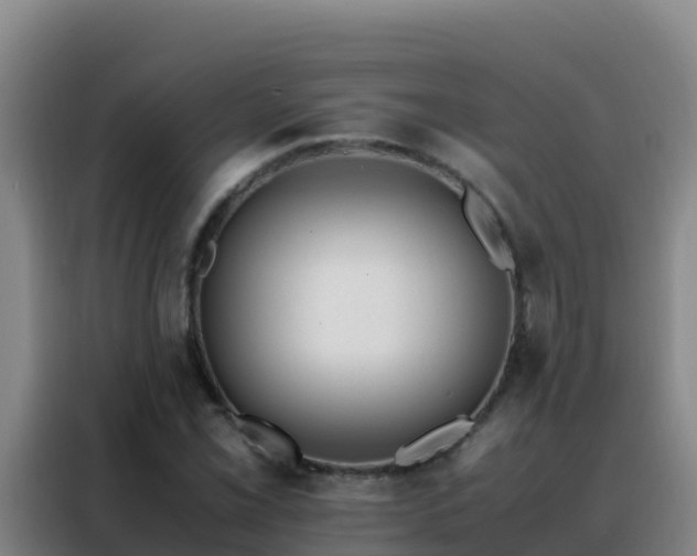 X0000088151069200705211151