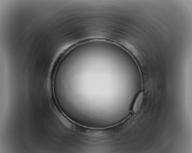 X0000088151072200705211151