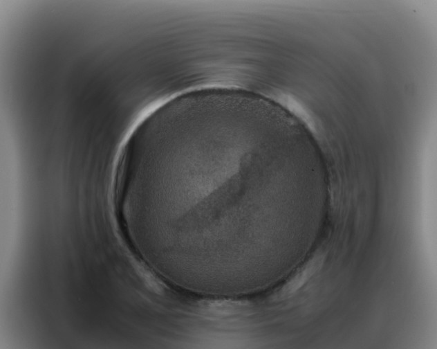 X0000088151077200705211151