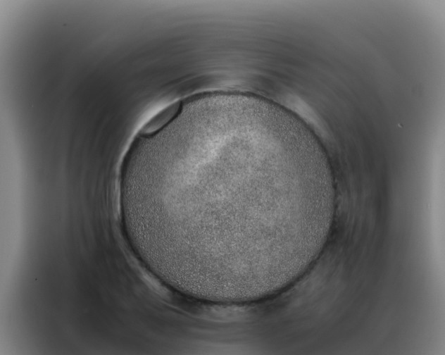 X0000088151079200705211151