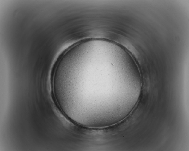 X0000088151080200705211151