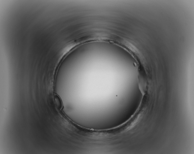 X0000088151081200705211151