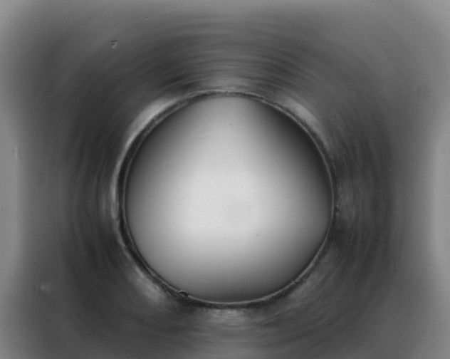 X0000088151082200705211151