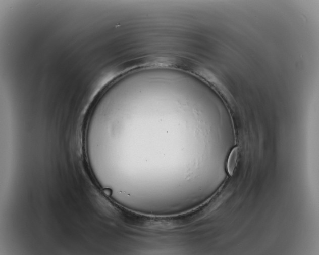 X0000088151083200705211151