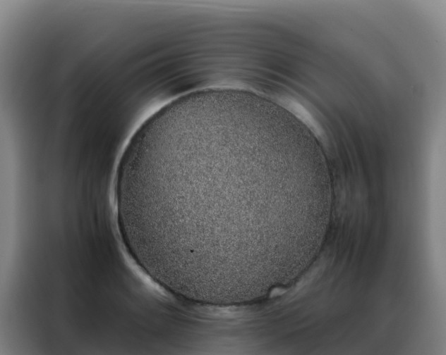 X0000088151084200705211151