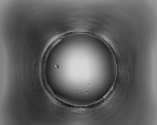 X0000088151085200705211151