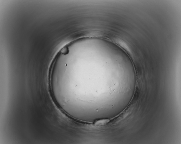 X0000088151087200705211151