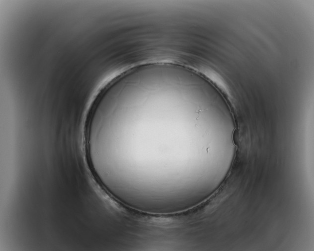 X0000088151088200705211151