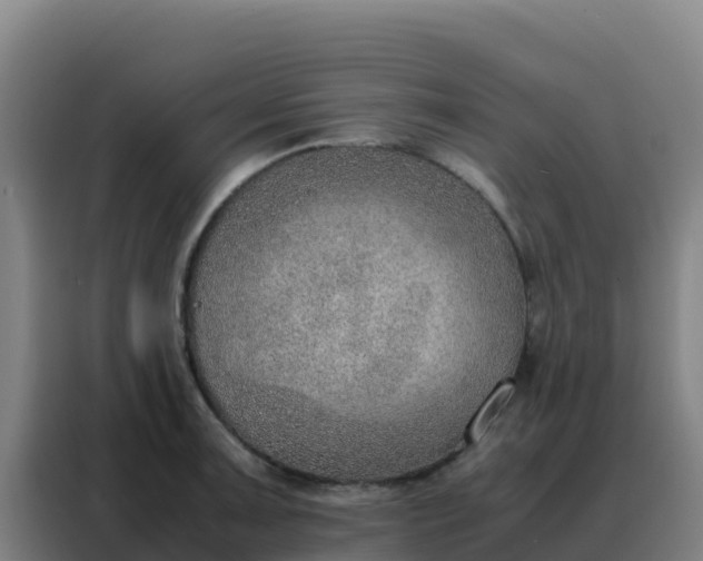 X0000088151091200705211151