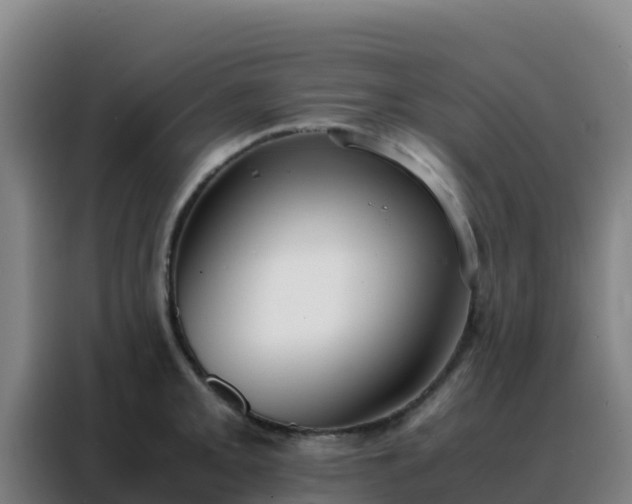 X0000088151093200705211151