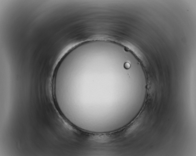 X0000088151094200705211151