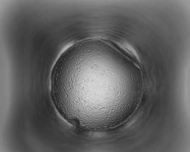 X0000088151095200705211151