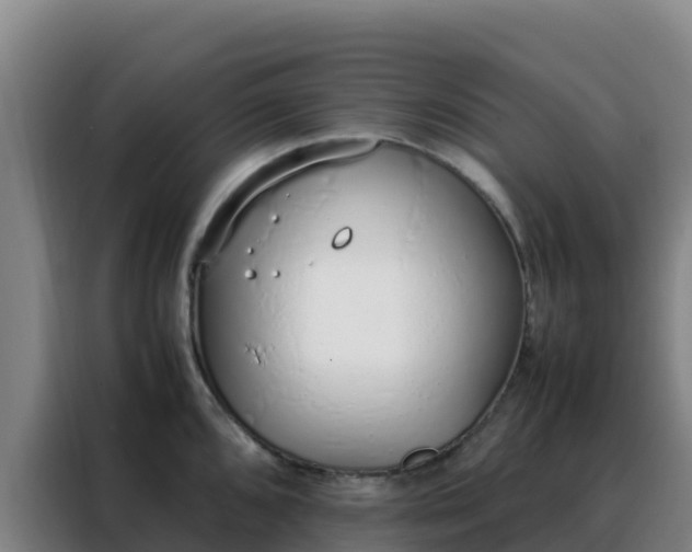 X0000088151096200705211151