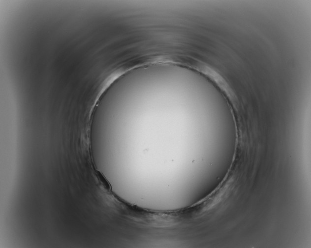 X0000088151097200705211151