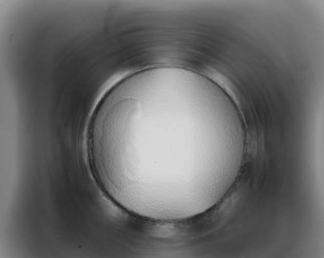 X0000088151098200705211151