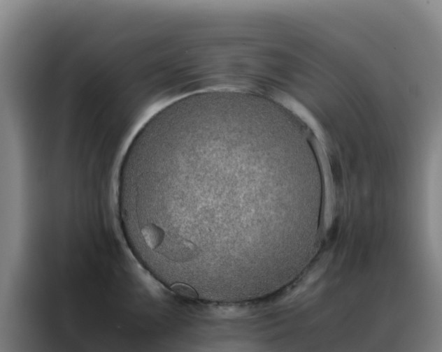 X0000088151099200705211151