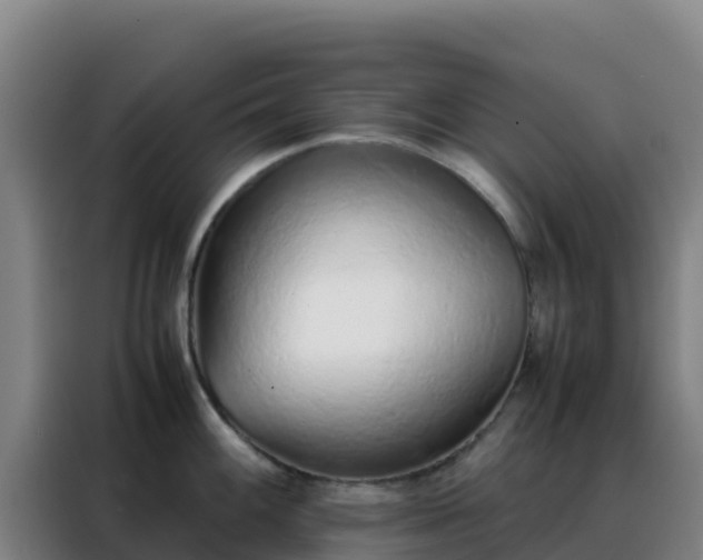 X0000088151100200705211151