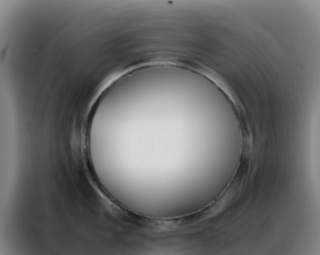 X0000088151101200705211151