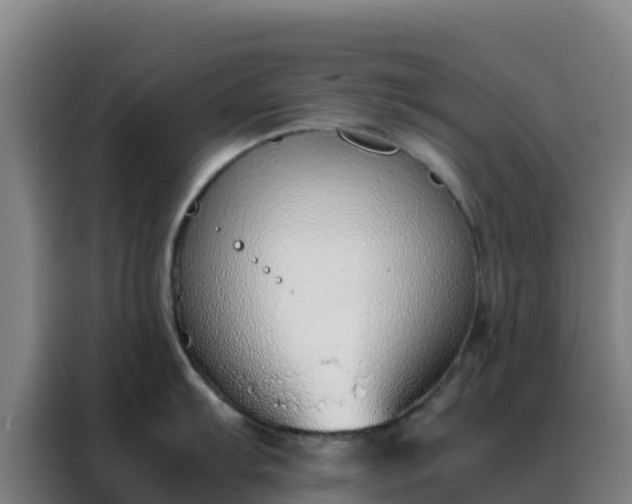 X0000088151103200705211151