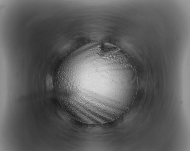 X0000088151106200705211150