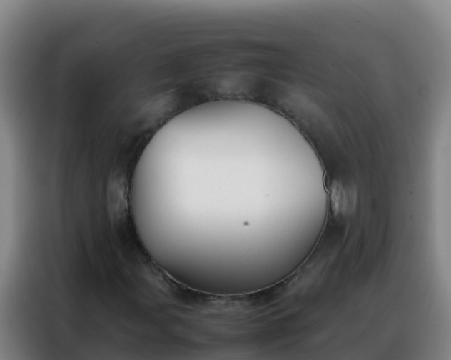 X0000088151107200705211150